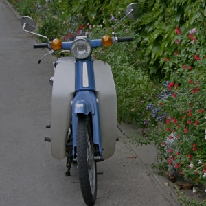Scooter, Giverny, fleurs