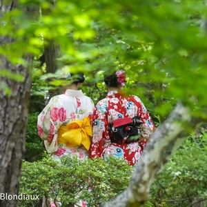 2 Kimonos dans la forêt .....Tokyo