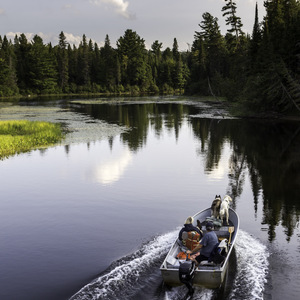 Photo d'un bateau sur un lac du Canada (Algonquin Park)