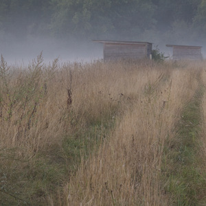 Brume matinale au Village Potager