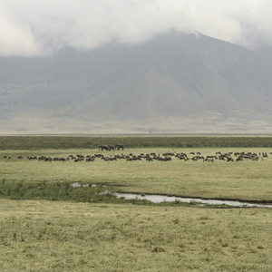Vue du cratère du Ngorongoro