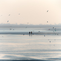 Baie de Somme, mer, couple oiseaux