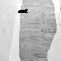 chat noir; ruelle grecque; patmos; grece;