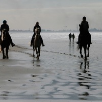 chevaux, plage