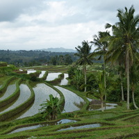 Bali 2014