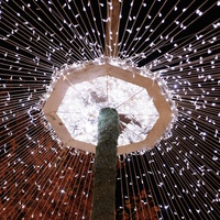 L'arbre de lumière 